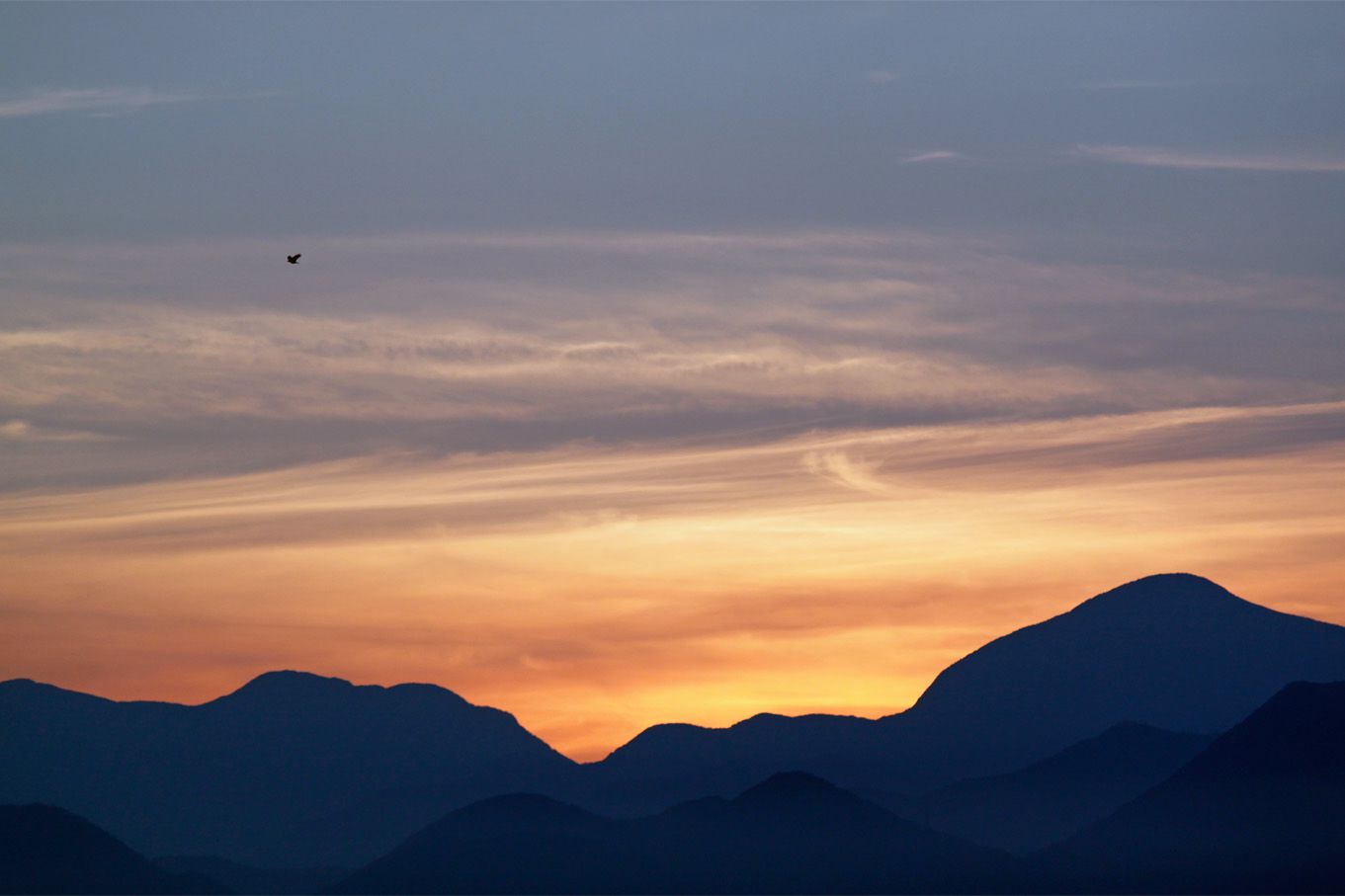 連日の猛暑日で、ちょっと過酷である。