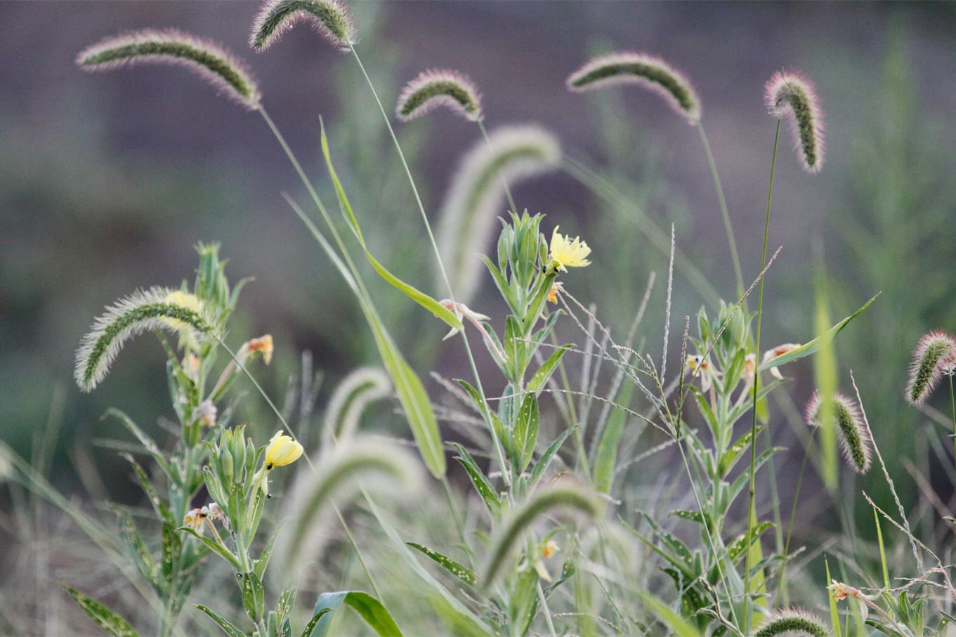 なんか…秋の空気感？でしょうか。