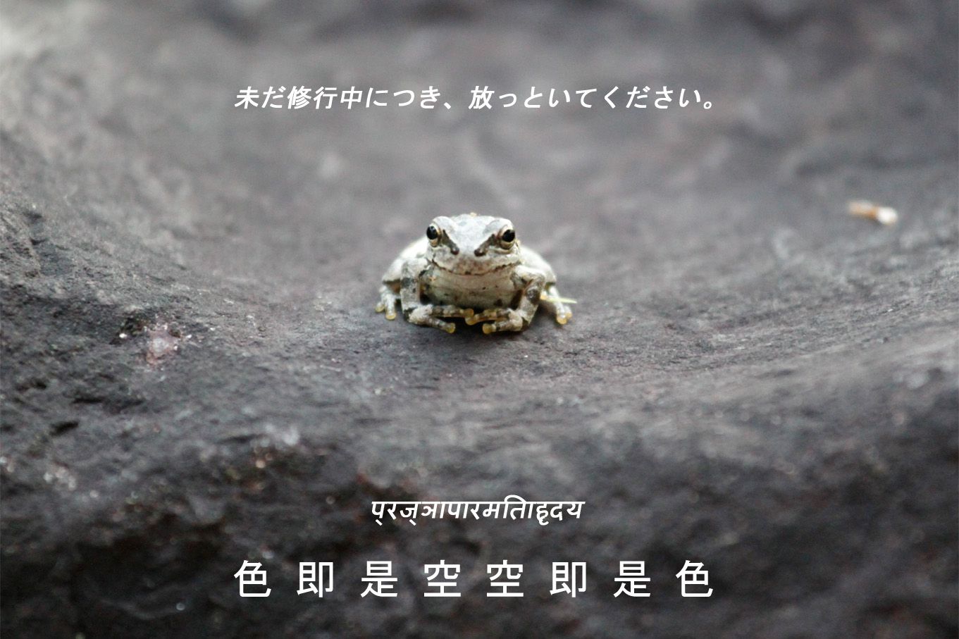 未だ修行中につき、放っといてください；；；。