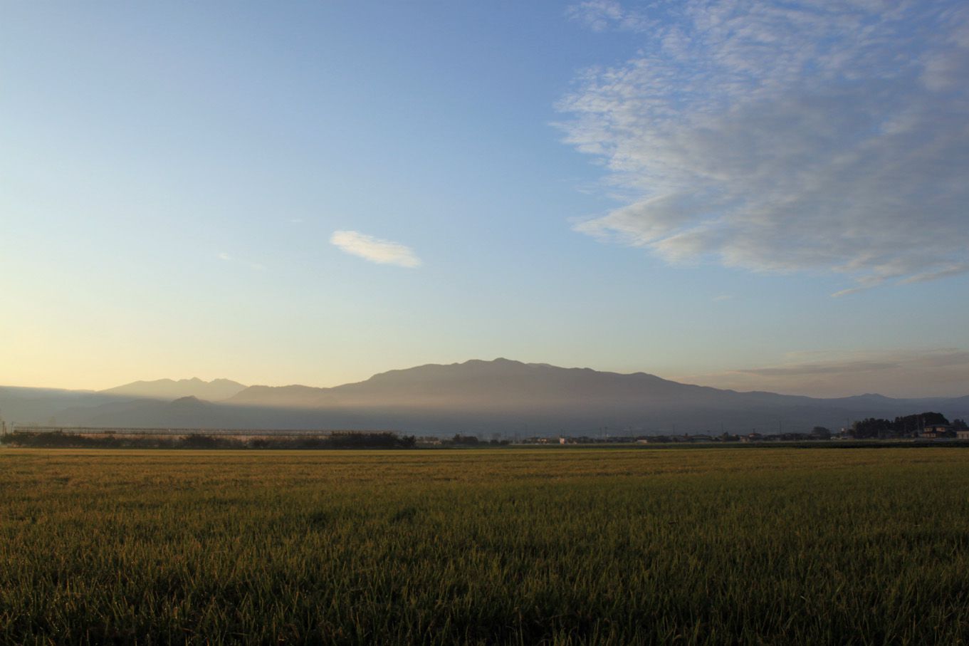 少しだけフツーの夏の朝という感じ。