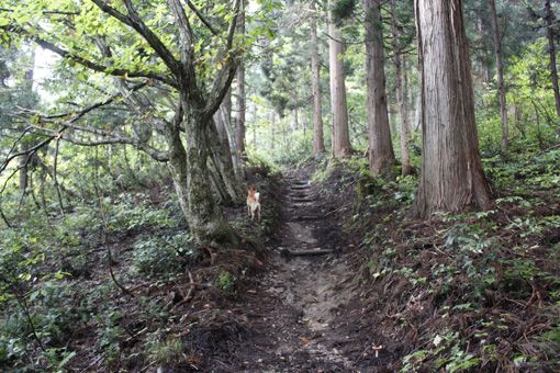 白鷹山（虚空蔵山）：登山＆参拝