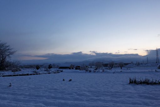 雪の田園風景・・・ってか？