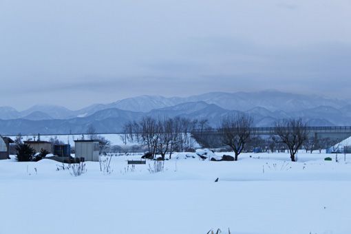 さてと・・・今日は週明け月曜だ。