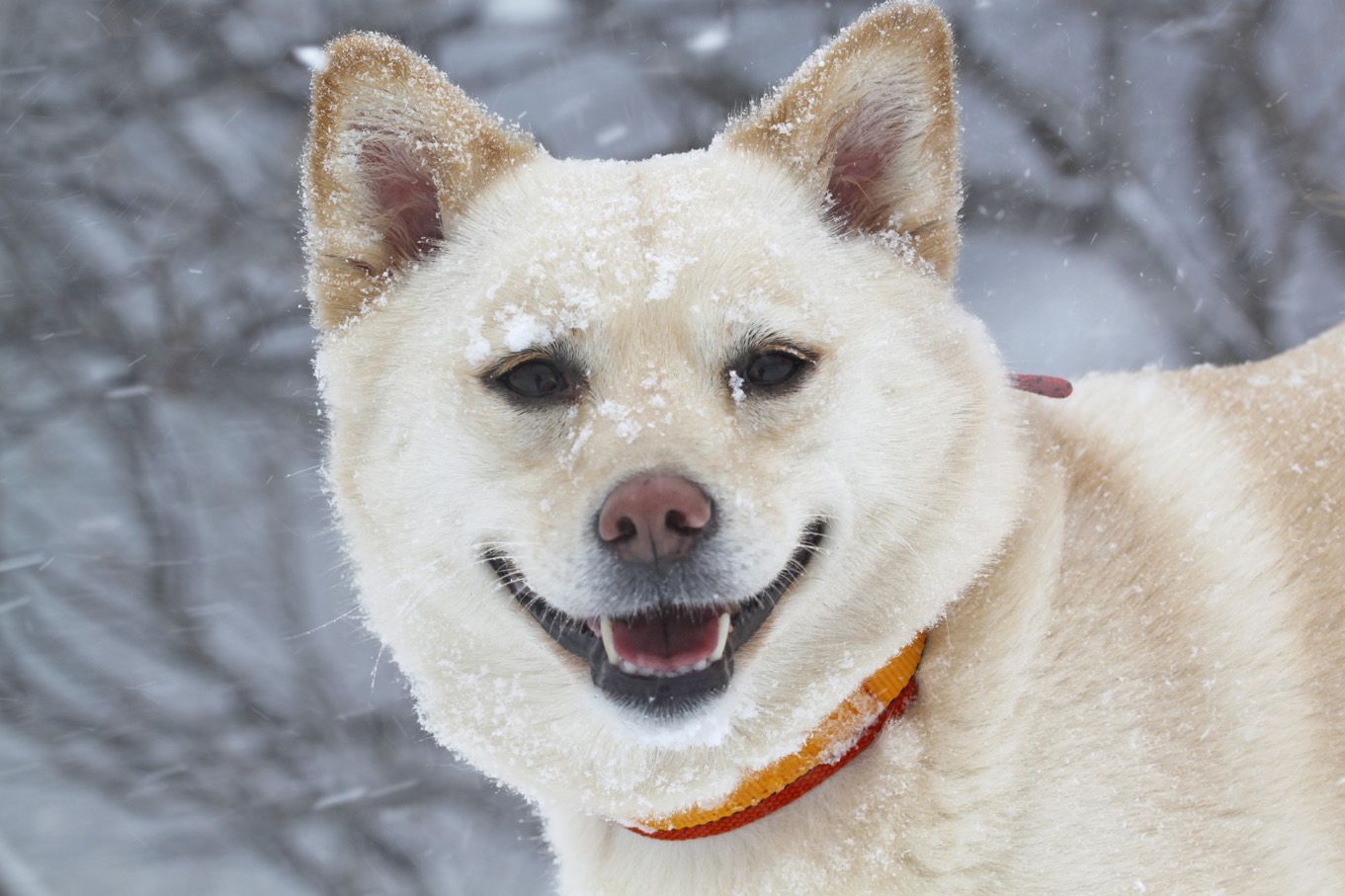 ここは、標高６００ｍ程。モロ嵐でした；；；