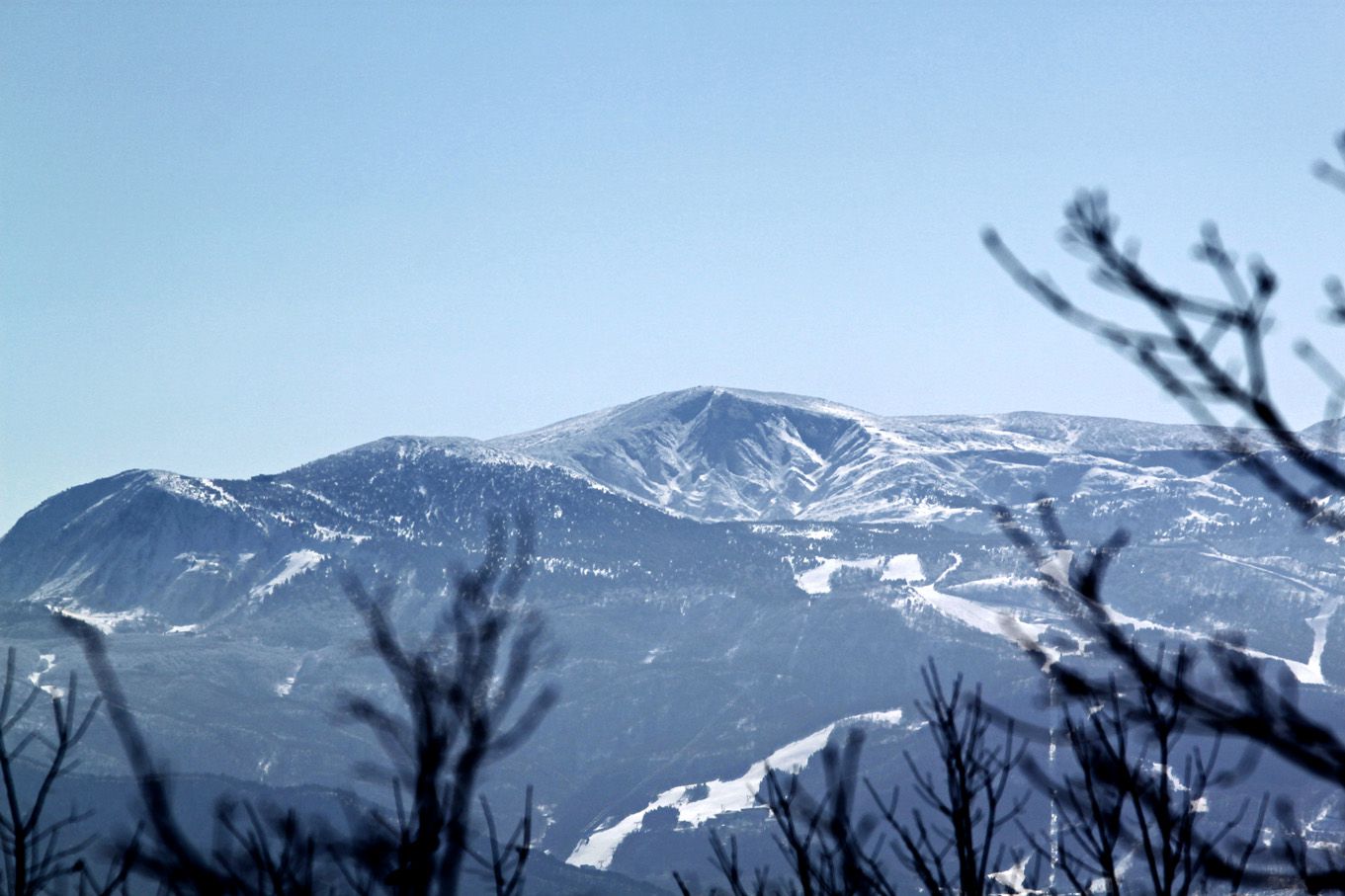 週末恒例の犬っ子達との山駆け散歩（続：雪山編）