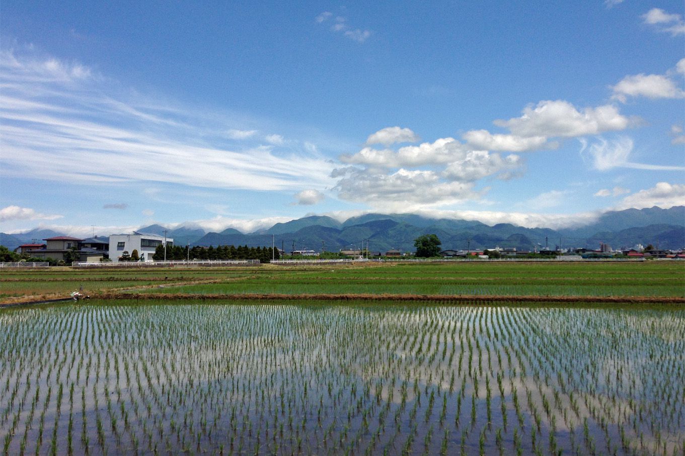 山背雲がかかる奥羽山脈。