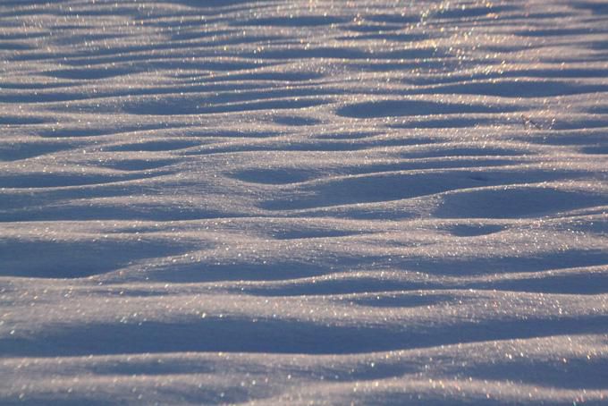 今朝の畑は、デコ雪面。