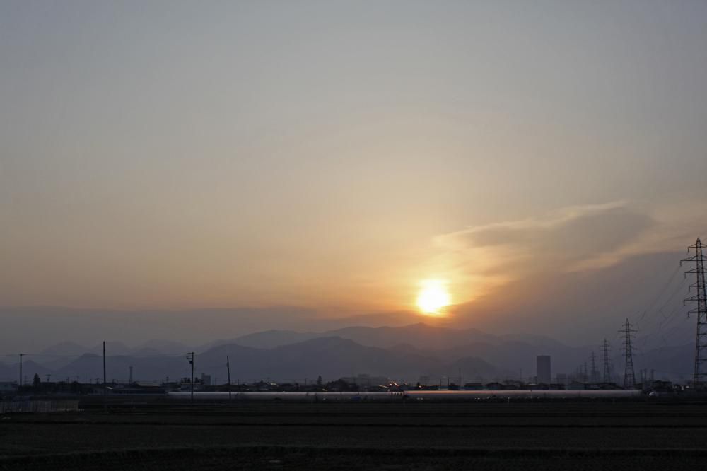 もしかすると、何かの花粉に若干反応か？？？