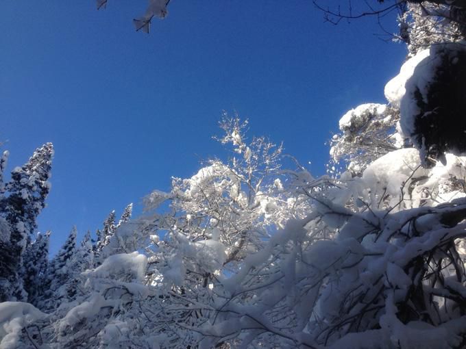 雪が上がったので、