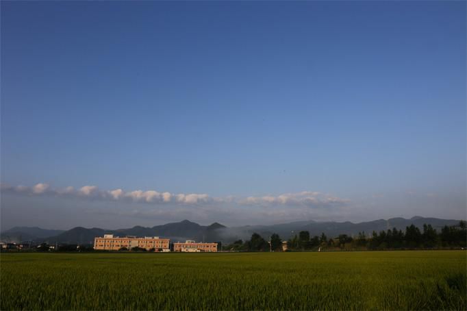 夏終盤頃の田園風景って感じですね。