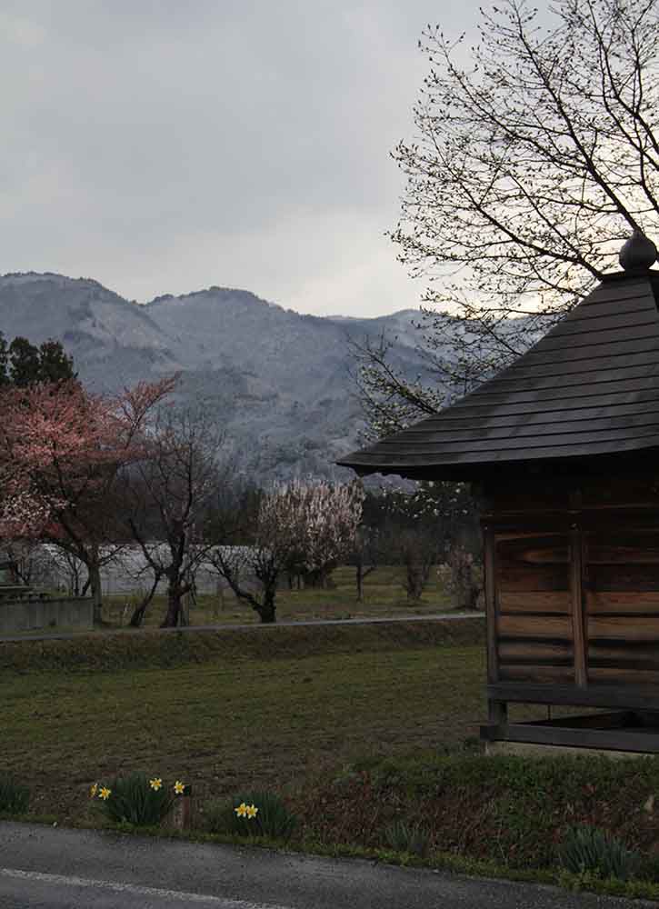 昨日雪