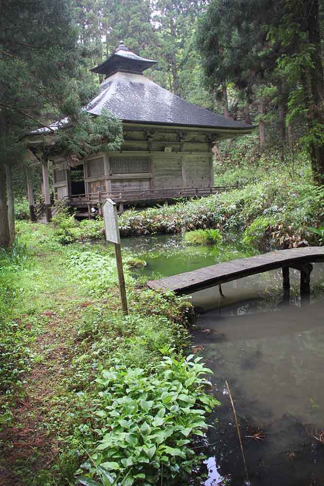 白鷹十王に関寺あり・・増量完了