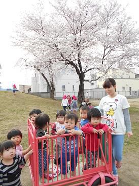 桜の花びらと子どもたちの笑顔　満開です！