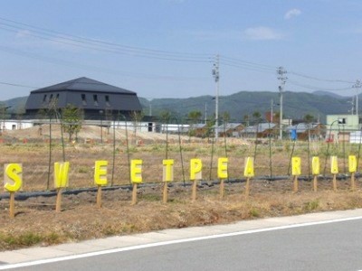 �X�C�[�g�s�[���[�h�Ƃ���[��