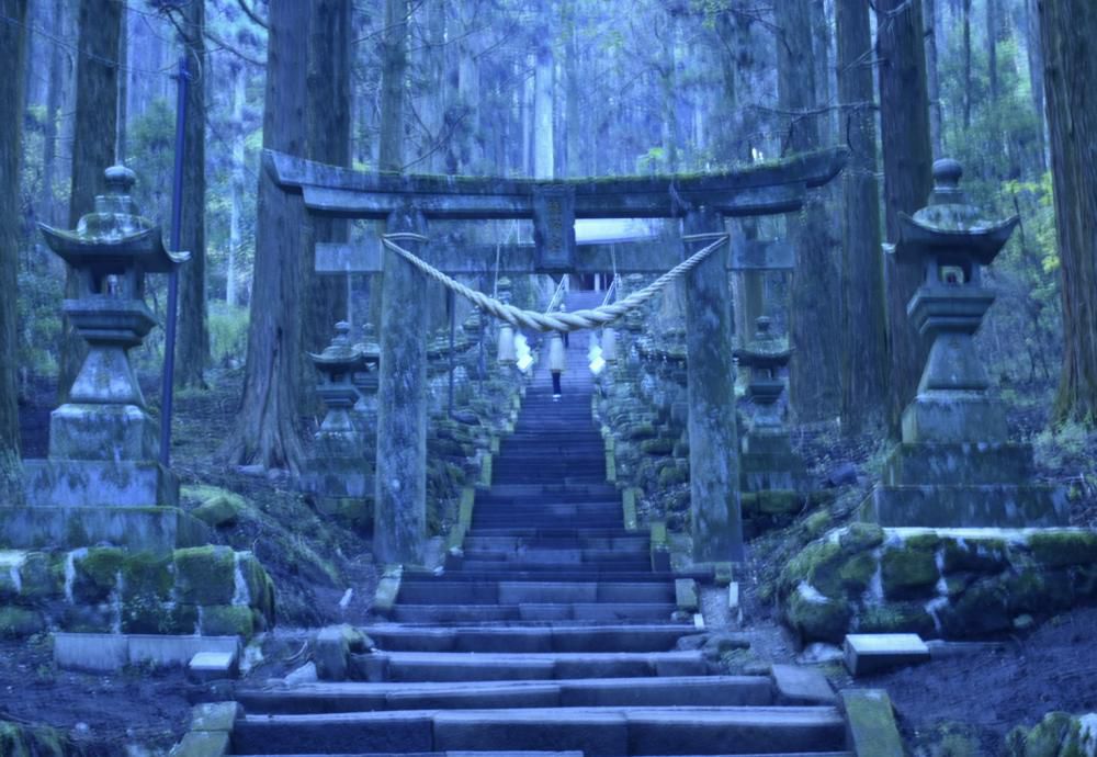 『アオを求めて ― 南阿蘇、上色見熊野座神社 ―』