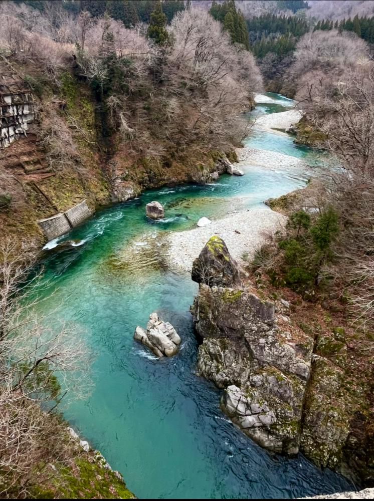 『アオを求めて ― 山形、玉川渓流―』