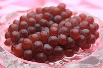 �֥ǥ饦�����в٤���˻���פβ���