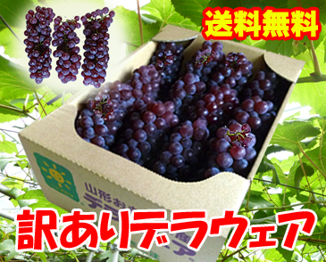 ����������ƺ�פβ���