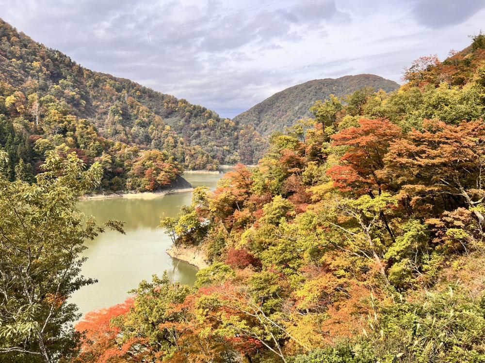 ’24　紅葉情報　(11月1日)