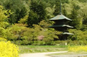 takahata_photo1.jpg
