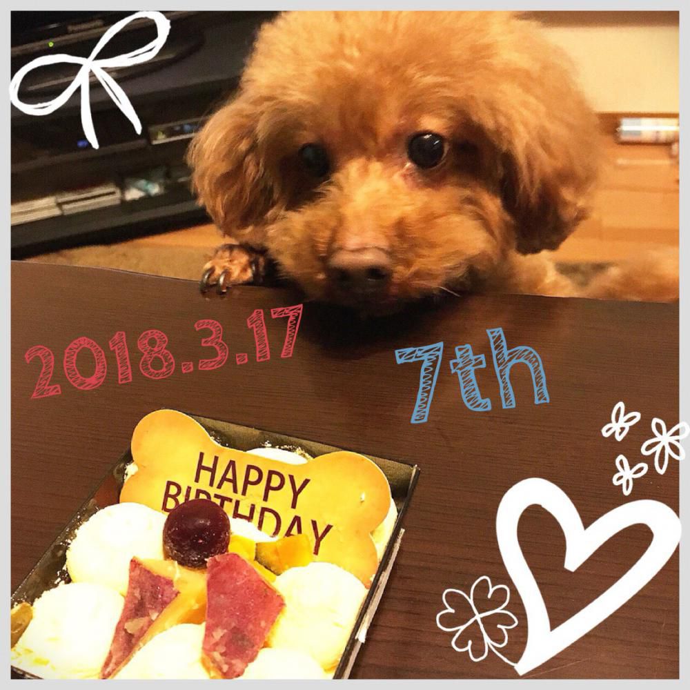 ハッピーバースデー🎂