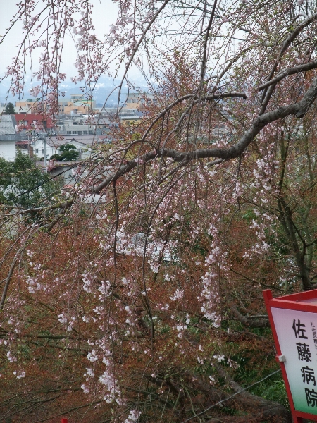 �֣������ͼ�����ߤα�˹�һ�����κ������פβ���