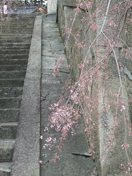 �֣������ͼ�����ߤα�˹�һ�����κ������פβ���