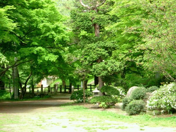 新緑の烏帽子山