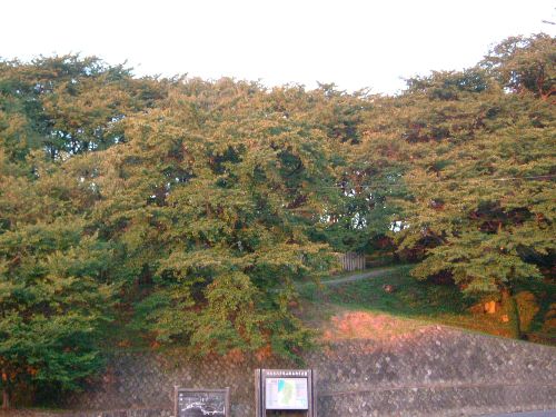 紅葉シーズン前の烏帽子山の様子07/10/06