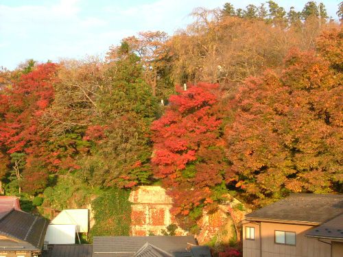 紅葉が朝焼けに映えてます♪