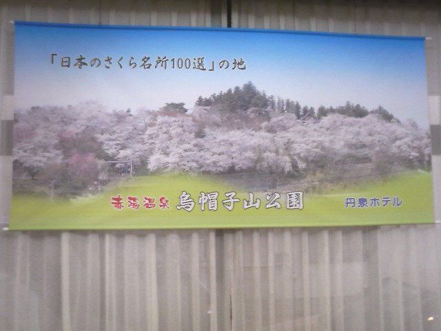 玄関に飾っている烏帽子山の桜のタペストリー