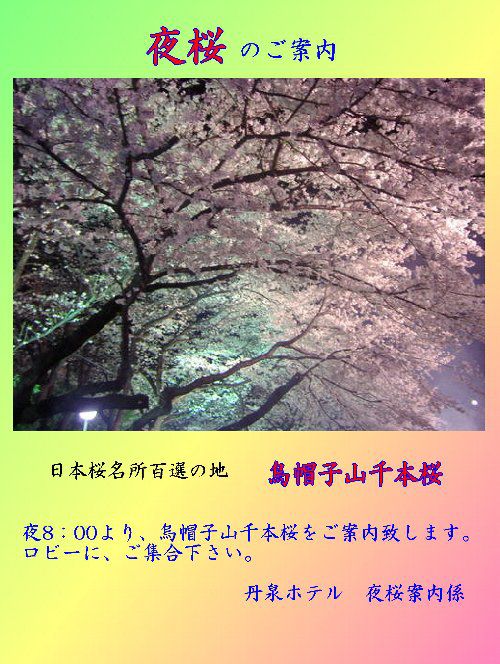 烏帽子山の夜桜ツアーはいかがですか？