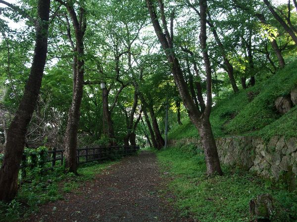 新緑の烏帽子山紹介１