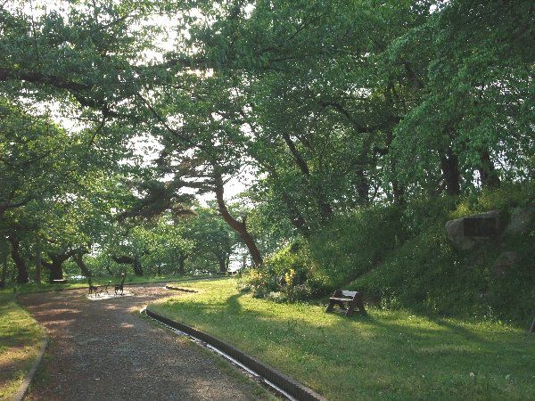 新緑の烏帽子山公園5