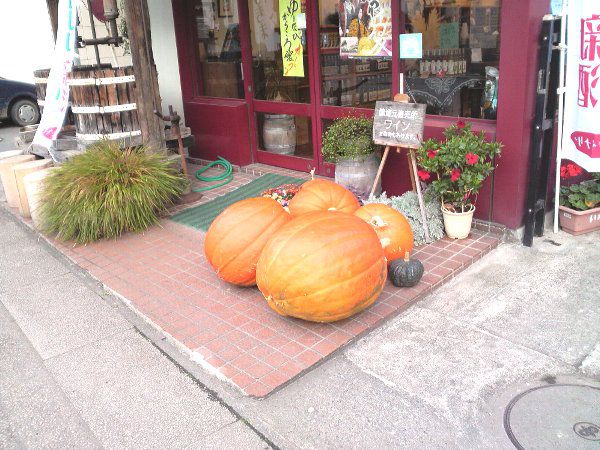 今日はハロウィンということで･･･