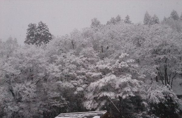 烏帽子山の雪化粧