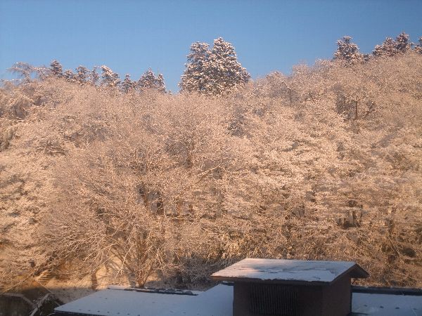 ☆これは綺麗☆烏帽子山の霧氷