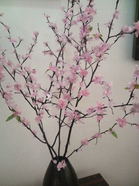◆ 繭(まゆ)桜 ◆いかがですか？