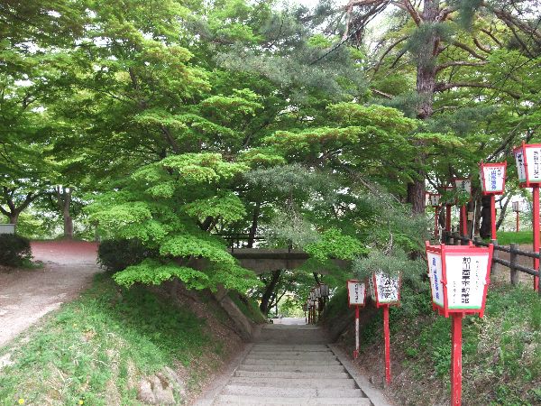 烏帽子山公園の新緑☆090505☆2