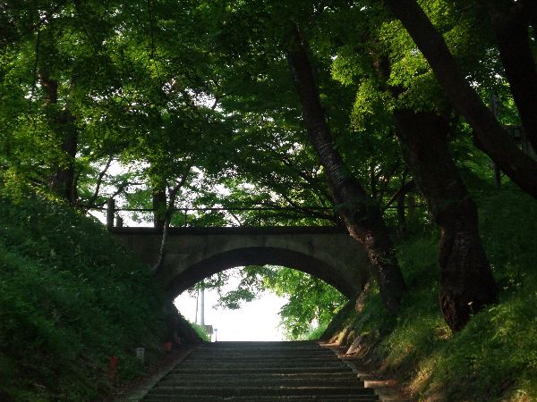 新緑の烏帽子山公園090525