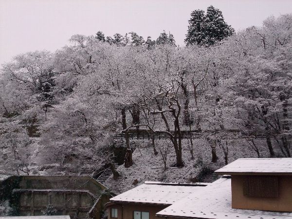 雪の華