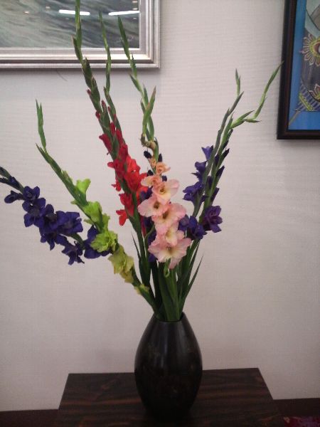 7月26日の玄関のお花