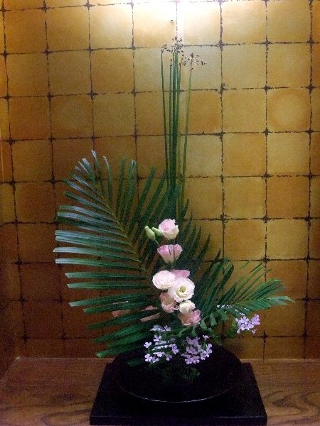 当館癒し所横の花