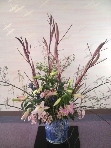 植物としてのオクラ