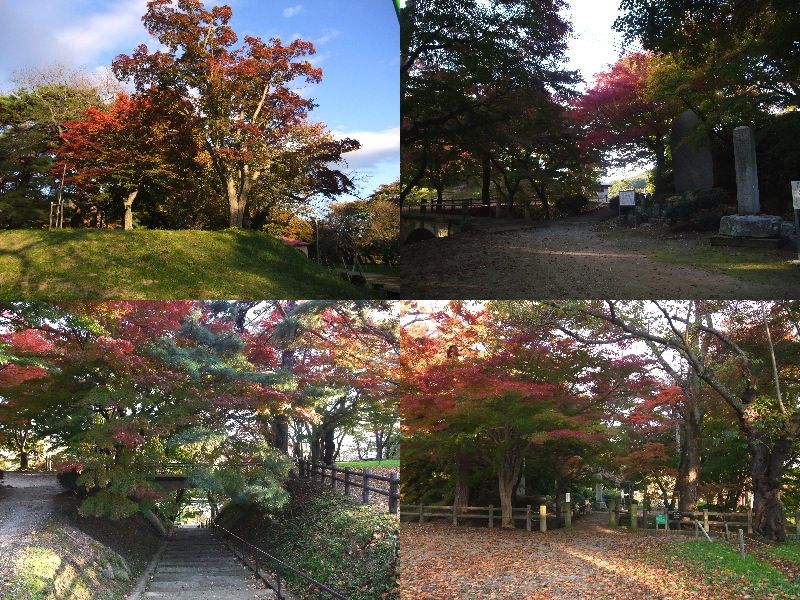 11月4日現在の烏帽子山公園の風景