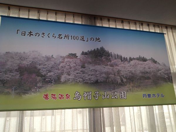 烏帽子山公園千本桜タペストリー飾りました
