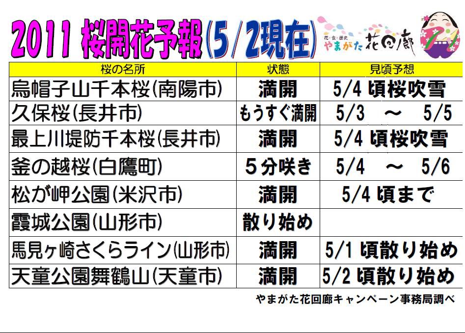 5月2日現在の置賜さくら回廊開花状況