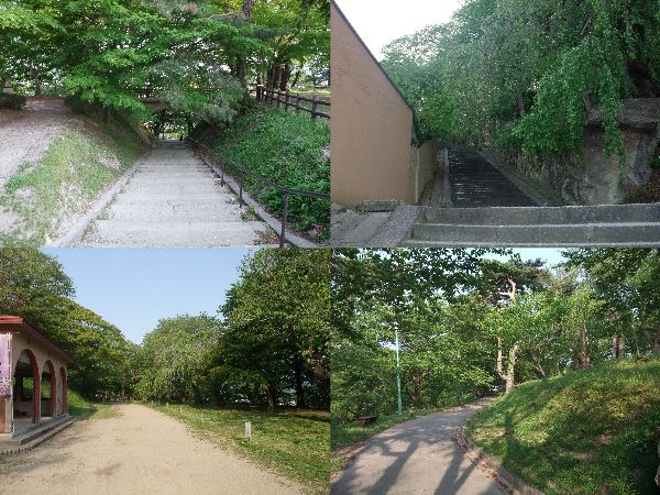 5月19日現在の【烏帽子山公園の新緑】