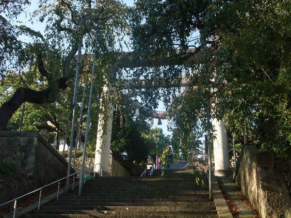 最近の烏帽子山公園の風景