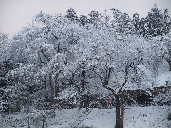 3月15日の烏帽子山の風景